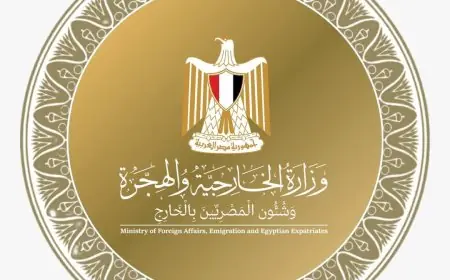 مصر تقدم التعازي وتعلن التضامن مع أمريكا في ضحايا العاصفة الثلجية القاسية