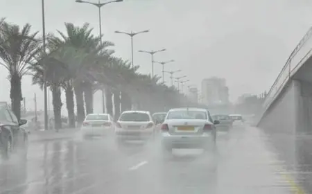 تنبيه من الأرصاد: رياح قوية تحمل الرمال والأتربة تضرب شمال مصر حتى القاهرة الكبرى