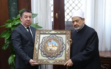 شيخ الأزهر يؤكد: المذهب الأشعري هو الحل المثالي لوحدة المسلمين بتنوع مذاهبهم ومدارسهم الفكرية