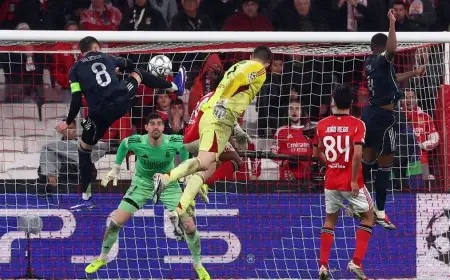 احتمالات مواجهات الملحق في دوري أبطال أوروبا: بنفيكا يلاقي ريال مدريد