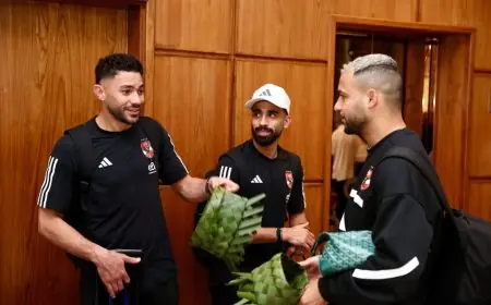 وصول بعثة الأهلي إلى فندق الإقامة في زنجبار تنزانيا يثير الترقب والمعنويات عالية