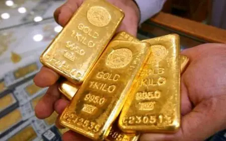 مجلس الذهب العالمي: عام 2026 يشهد رقماً قياسياً تاريخياً لأسعار الذهب متجاوزة 5000 دولار