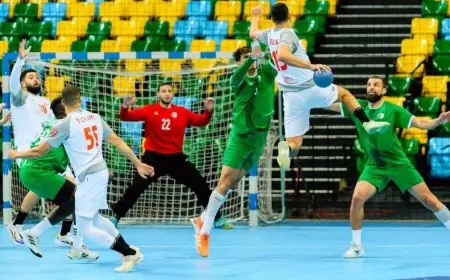 متى يواجه فريق مصر تونس في نهائي بطولة إفريقيا لكرة اليد؟