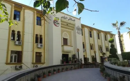 أشرف شومة: اكتشف خدمات مستشفى جامعة المنصورة بتكلفة شبه مجانية