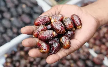 الحكومة تكشف حقيقة استيراد تمور إسرائيلية قبيل رمضان