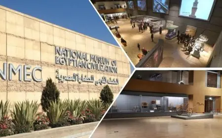 المتحف القومي للحضارة المصرية يعزز تجربة الزوار بإضافة اللغة الكورية إلى خدمة المرشد الصوتي