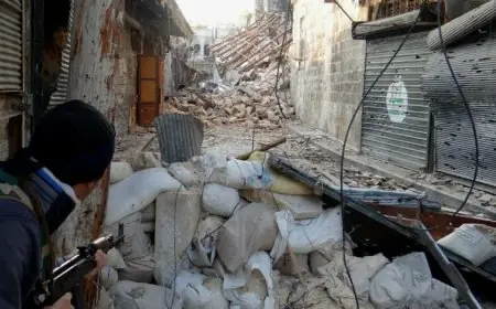 مصر تعلن ترحيبها باتفاق وقف إطلاق النار في سوريا