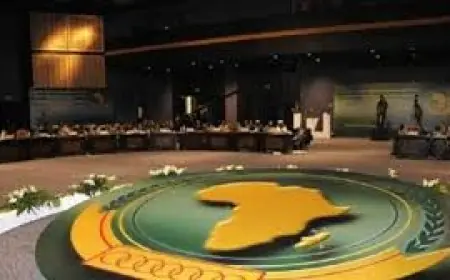 مصر تبدأ فترة رئاستها لمجلس السلم والأمن في الاتحاد الأفريقي لتعزيز الاستقرار والتنمية