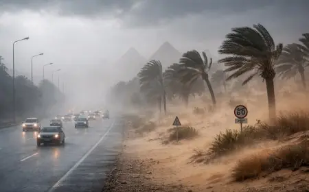 توقعات طقس أول أسبوع في فبراير: ظاهرتان جويتان قويتان تؤثران على البلاد