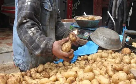 اكتشف السبب العلمي وراء عدم وضع البصل بجانب البطاطس مع مجدي نزيه: تجنب هذا الخطأ القاتل