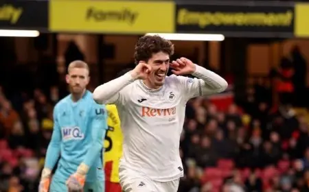 سوانزي يستعين بسنوب دوغ لتحقيق العودة إلى الدوري الممتاز