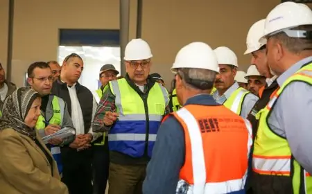 قطاع الأعمال: اقتراب غزل المحلة من التشغيل الكامل بعد انتهاء المرحلة الثانية من التطوير