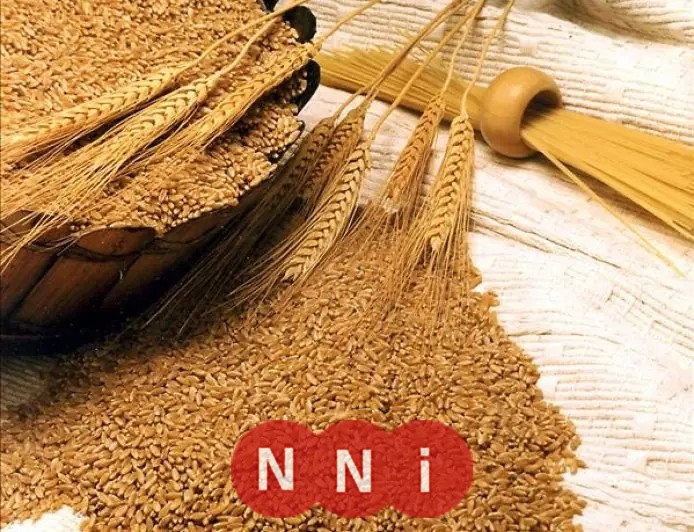 تحرك برلماني لبحث تداعيات زيادة تكلفة استيراد القمح