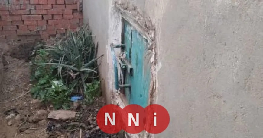 اكتشافات مذهلة عن عسل مقبرة الكمايشة: سر النحل والشيخ المدفون وتأثيره على الأهالي