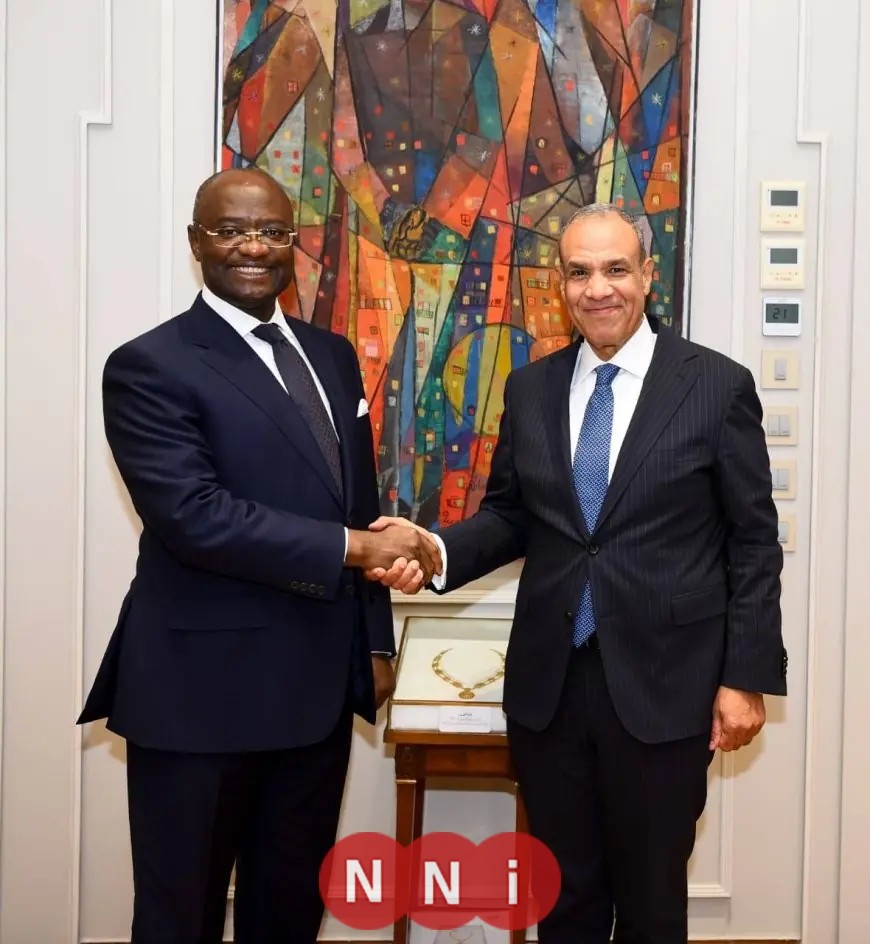 وزير الخارجية يلتقي رئيس بنك التصدير والاستيراد الأفريقي لتعزيز التعاون الاقتصادي