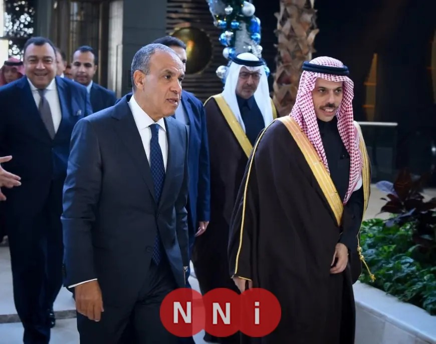 وزير الخارجية السعودي ونظيره يناقشان آخر تطورات الأوضاع في القرن الأفريقي