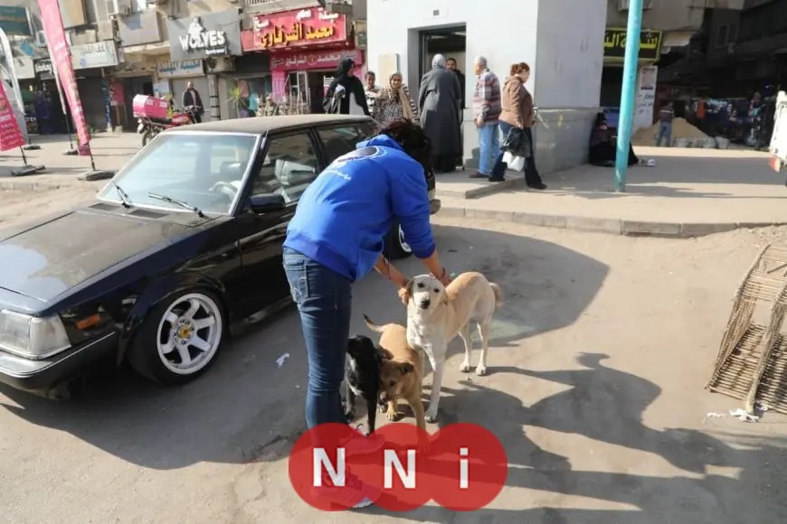 وزارة الزراعة تطلق حملة لتعقيم وتحصين الكلاب الضالة في عين شمس