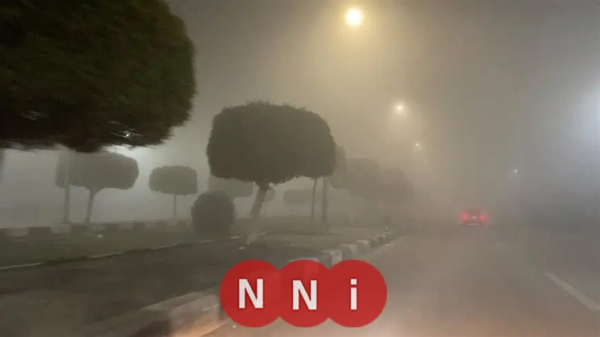 الأرصاد الجوية تحذر: شبورة مائية كثيفة تهدد الطرق غدًا