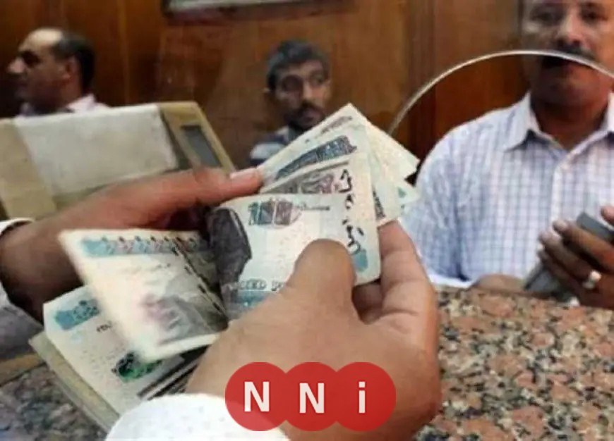 كيفية التقديم على معاش تكافل وكرامة 2026: الشروط والخطوات اللازمة