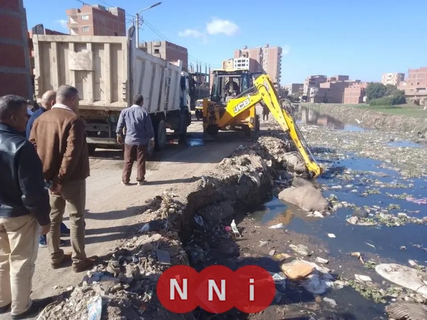 إزالة الحيوانات النافقة من قناة عزبة أحمد فوزي بالقناطر الخيرية لسلامة البيئة