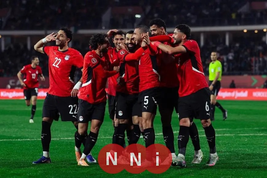 من الوعول والفهود إلى الأفيال كيف انتهت مسيرة أبطال إفريقيا أمام مصر زعيم القارة الأول