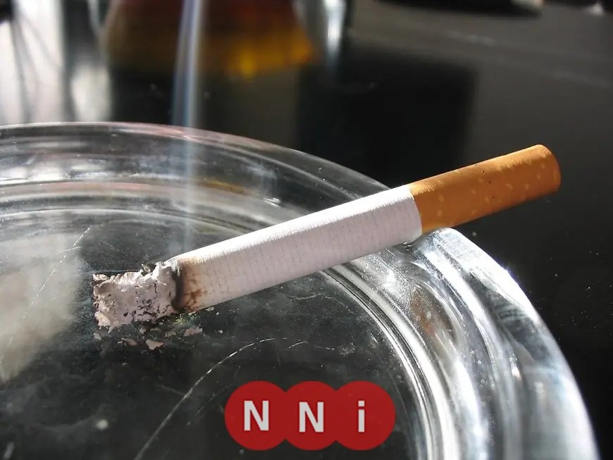 تعرف على أحدث أسعار السجائر لعام 2026 في مصر المحلية والمستوردة