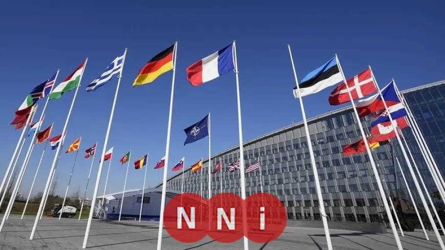 سيناتور أمريكي يحذر من أن ضم الولايات المتحدة لجرينلاند قد يؤدي إلى نهاية حلف الناتو