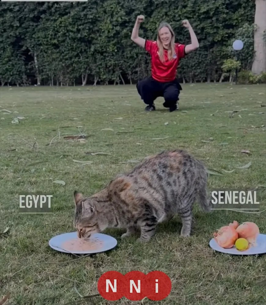 باسنت القطة الشهيرة من السفارة الألمانية في القاهرة تتنبأ بفوز مصر على السنغال