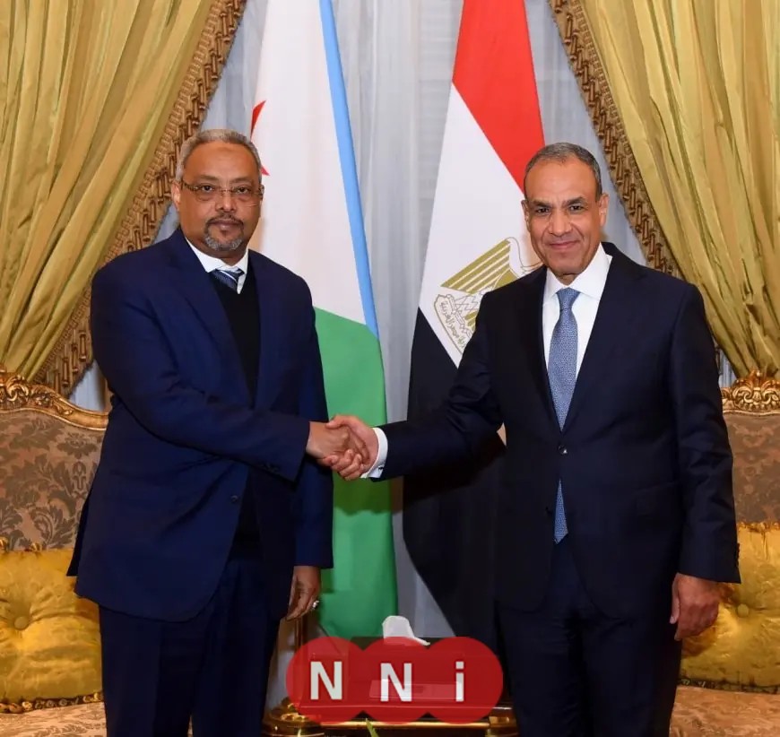 وزير الخارجية يناقش مع وزير خارجية جيبوتي آخر مستجدات الأوضاع الإقليمية