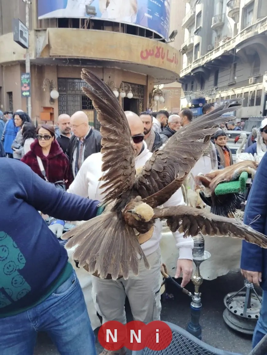 القبض على تجارة الطيور والحيوانات البرية المحظورة في سوق ديانا