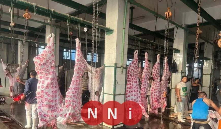 الزراعة: استقبال 705 ألف رأس ماشية في المجازر الحكومية بالنصف الثاني من 2025