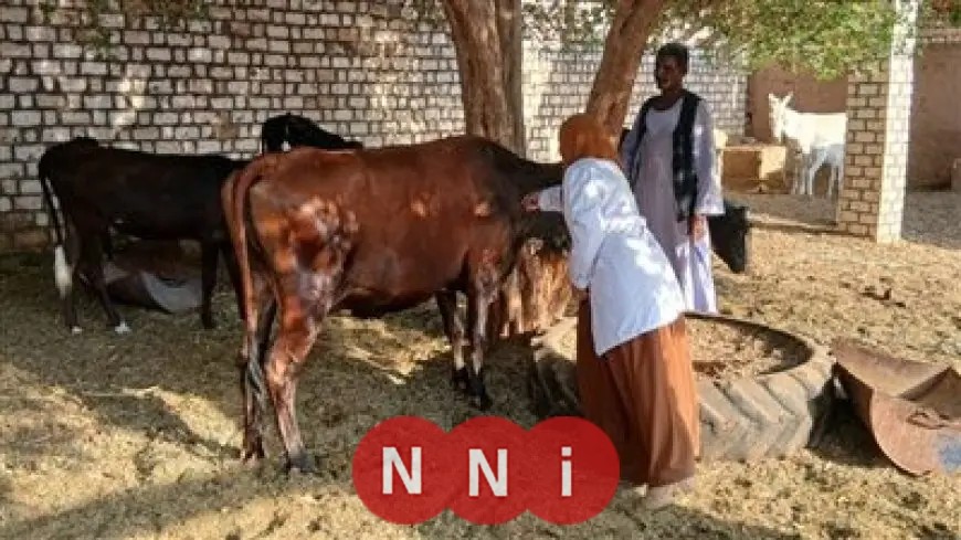 الزراعة تكشف عن اعتماد دولي لبحوث وقاية النباتات في إدارة الابتكار