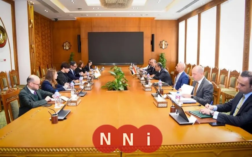 مشاورات سياسية مكثفة بين مصر وقبرص لتعزيز العلاقات الثنائية