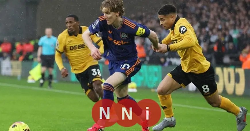 تعادل مخيب لنيوكاسل أمام ولفرهامبتون في الدوري الإنجليزي الممتاز