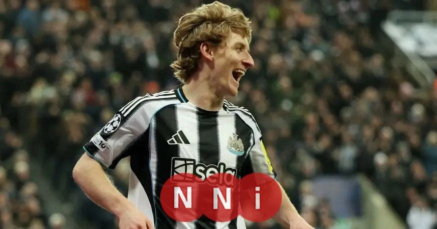 غوردون يتألق ويحطم رقم شيرر الأسطوري في دوري أبطال أوروبا بقميص نيوكاسل