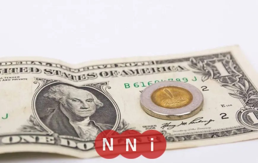 تعرف على سعر الدولار مقابل الجنيه اليوم الجمعة 23 يناير 2026 وكم بلغ
