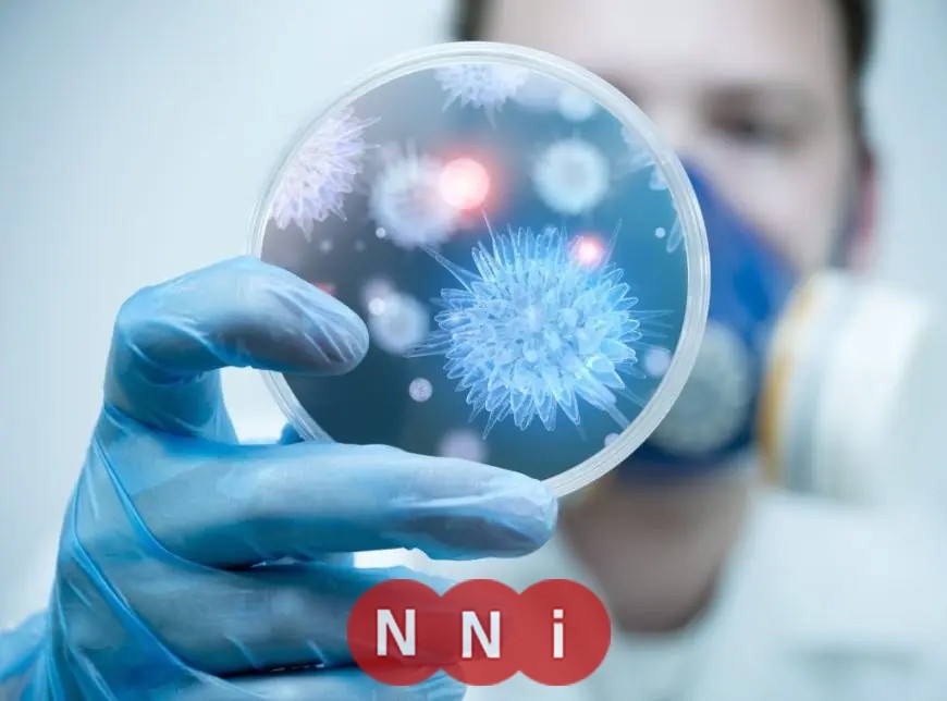 تعرف على أفضل النصائح لتعزيز جهاز المناعة خلال فصل الشتاء