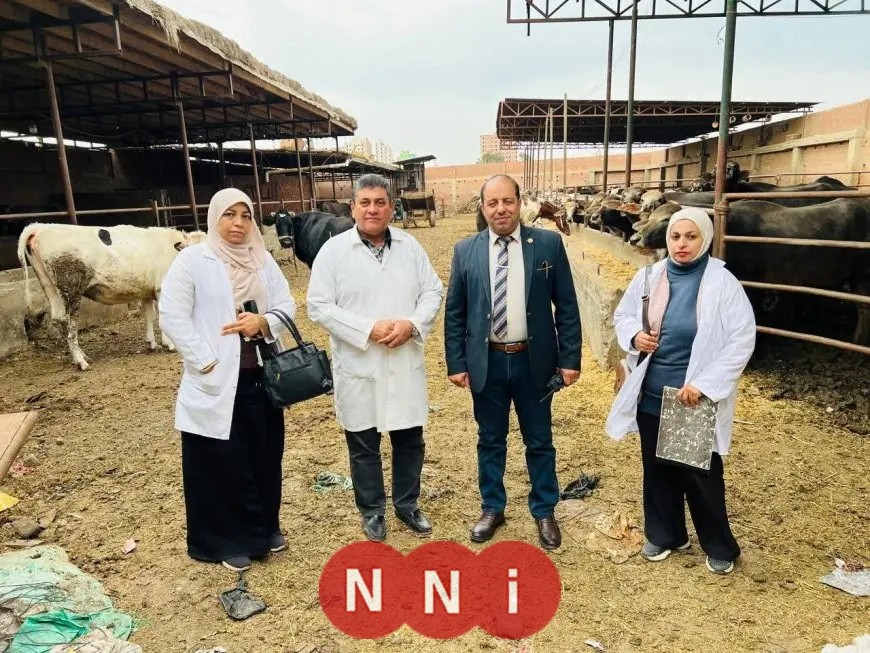 تحصين وتعقيم 5000 كلب حر منذ بداية العام في إطار خطة مكافحة السعار