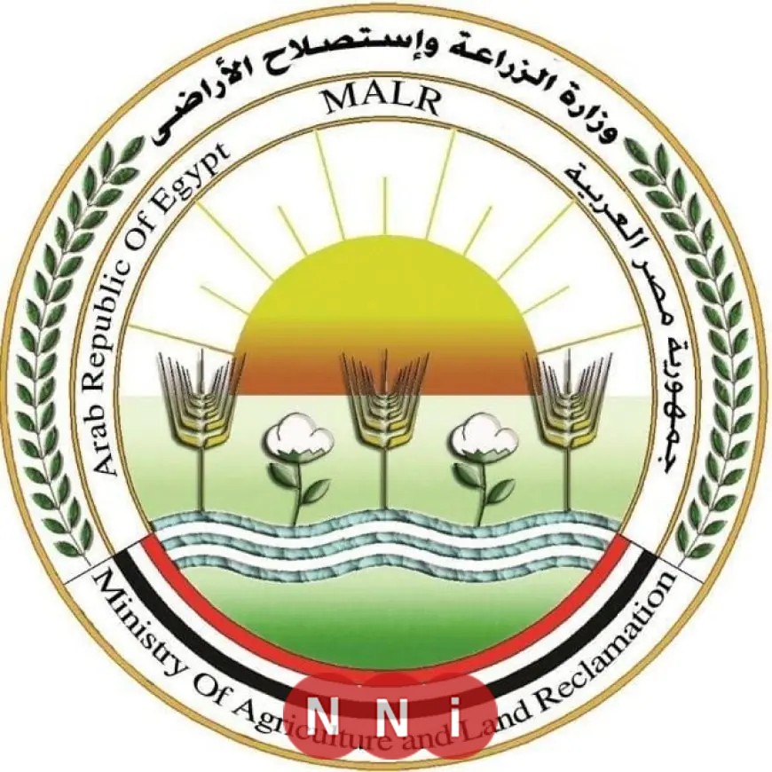 تحذير من الزراعة: احذروا الصفحات الوهمية التي تروج لبيع المنتجات الزراعية عبر الإنترنت والتواصل الاجتماعي