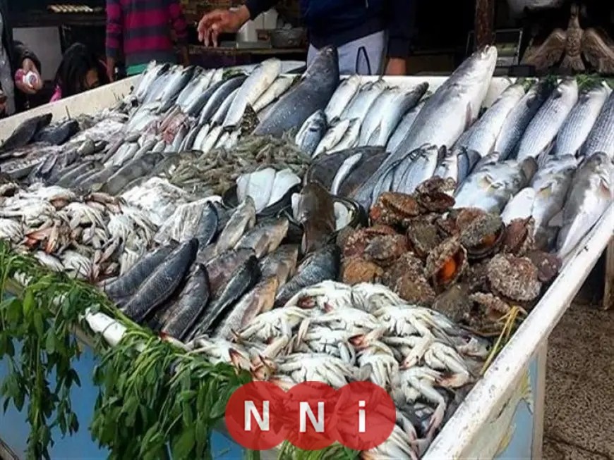 تعرف على أسعار الأسماك اليوم الأحد في سوق العبور قشر البياض يبدأ من 190 جنيهًا فقط