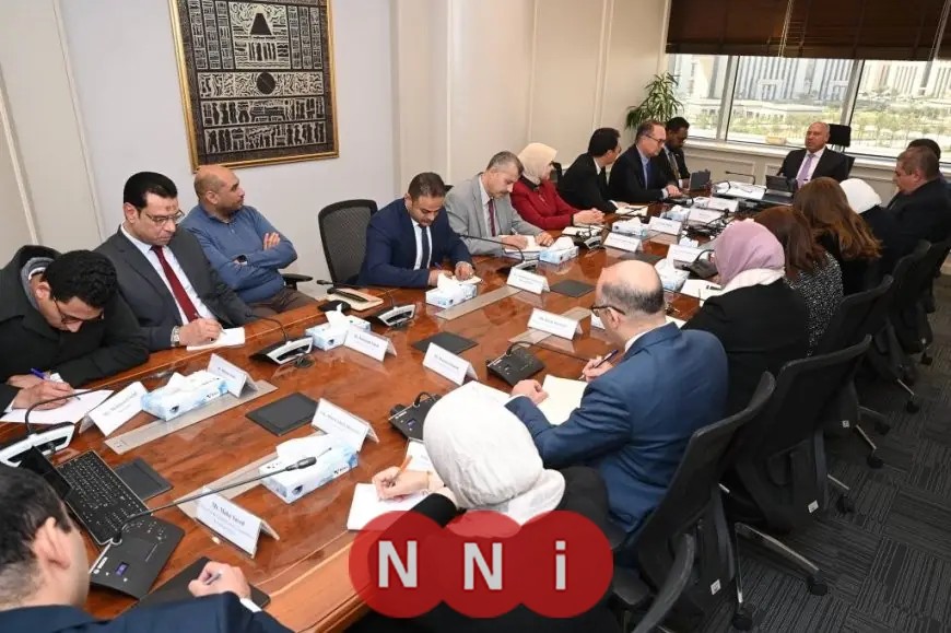 وزارة الصناعة تتعاون مع إيليت سولار لتعزيز التصنيع المحلي وتوسيع مشاريع الطاقة الشمسية في مصر