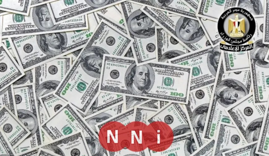 صافي الاستثمارات الأجنبية غير البترولية يصل إلى 2.4 مليار دولار في الربع الأول من 2025 وفق الوزراء