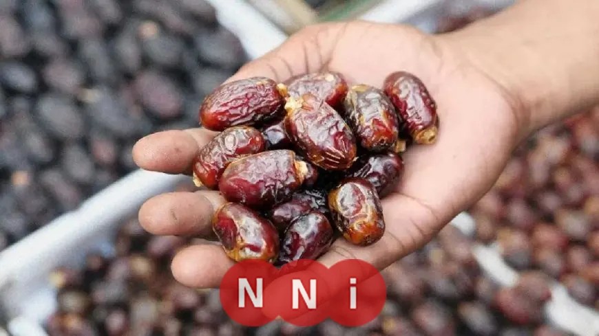 وزارة الزراعة تؤكد عدم استيراد مصر للتمور الإسرائيلية