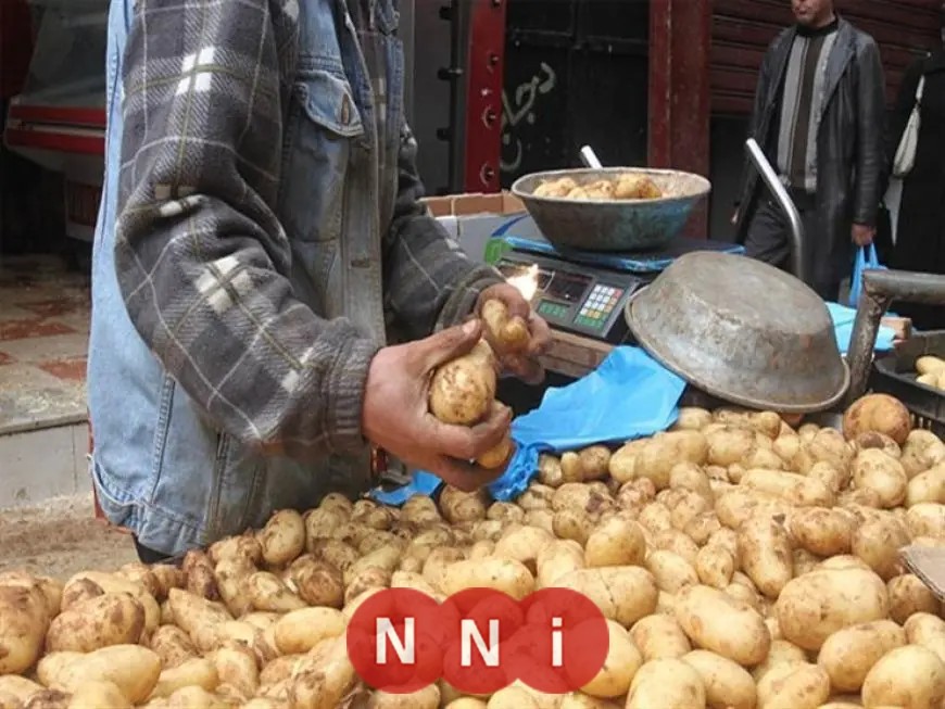 اكتشف السبب العلمي وراء عدم وضع البصل بجانب البطاطس مع مجدي نزيه: تجنب هذا الخطأ القاتل