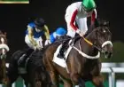 نتائج مثيرة في اليوم الأول من كأس السعودية لسباق الخيل الأغلى عالمياً
