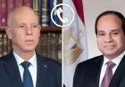الرئيس السيسي يتلقى اتصالا من الرئيس التونسي لتهنئته بمناسبة شهر رمضان المبارك