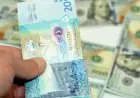 تعرف على سعر صرف الدينار الكويتي اليوم السبت 21 فبراير 2026 في البنوك المحلية