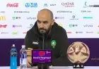 الاتحاد المغربي يؤكد استمرار وليد الركراكي كمدرب لأسود الأطلس