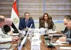 وزيرة التنمية المحلية والبيئة تناقش تحسين الهياكل التنظيمية بالوزارة مع رئيس الجهاز المركزي للإدارة