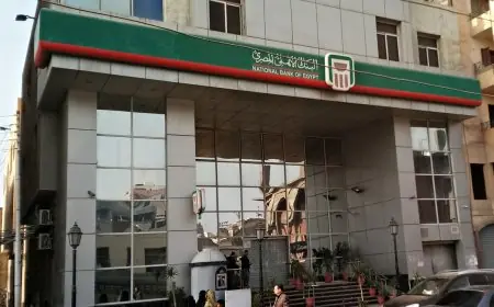 كيفية حجز موعد إلكتروني في البنك الأهلي المصري التفاصيل الكاملة